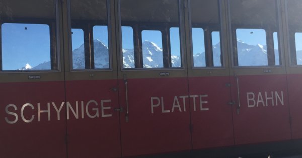 Die Erneuerung der Schynige Platte-Bahn ist nicht vom Tisch, sondern wird dringender