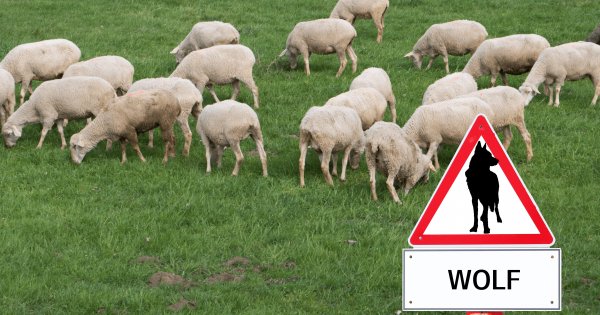 Macro Perspective: Schafe und Wölfe an der Wall Street
