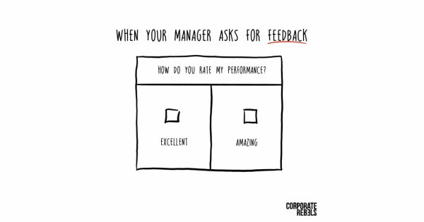 When Your Manager Asks For Feedback...