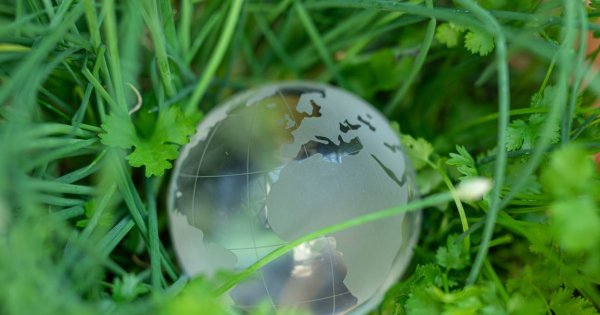 Nachhaltig investieren: Die zehn Sustainability Leaders auf OTC-X