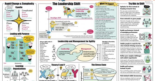 Agile Transformational Leadership in a Nutshell