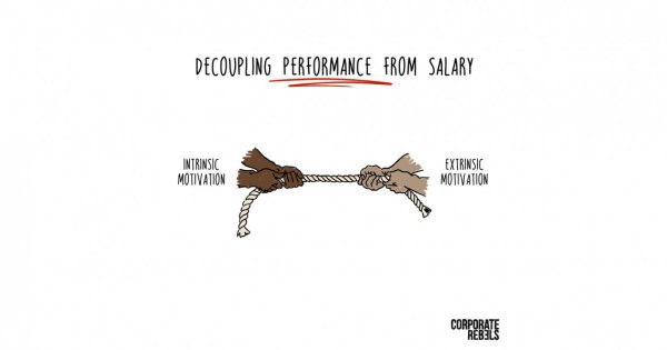 Why You Should Separate Salary And Performance