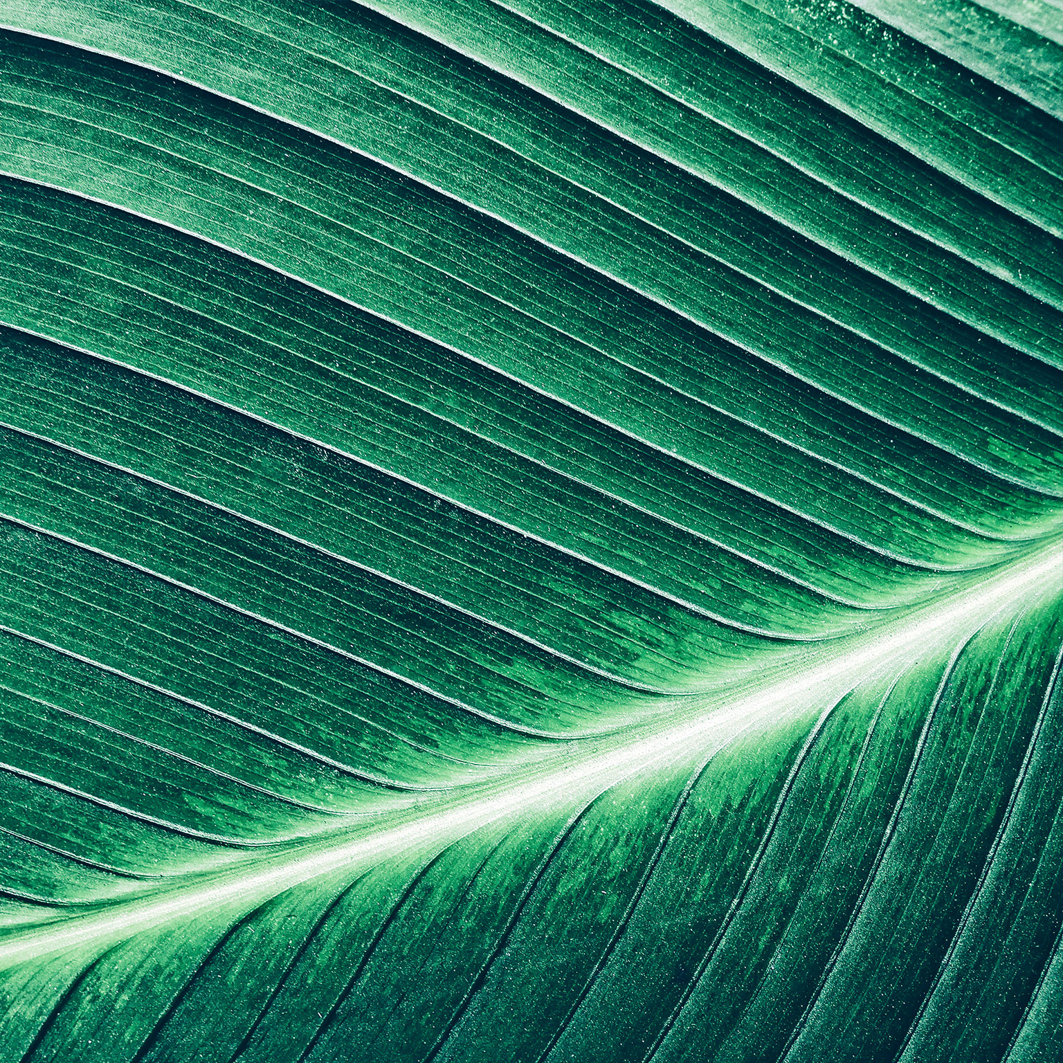 HR’s new operating model