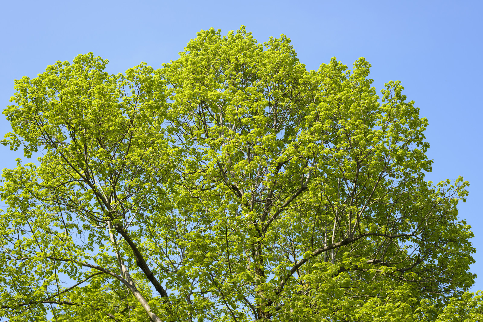 Studie: Drei von vier Beschäftigten würden sich eher bei nachhaltigen Unternehmen bewerben