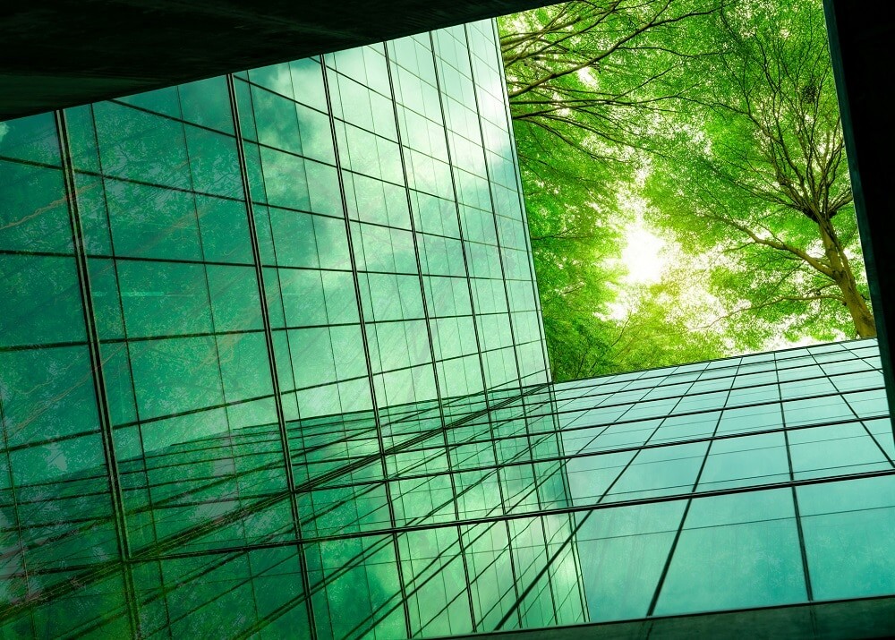 Noch immer grün hinter den Ohren