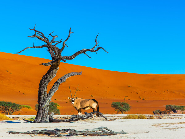 Namibia erleben