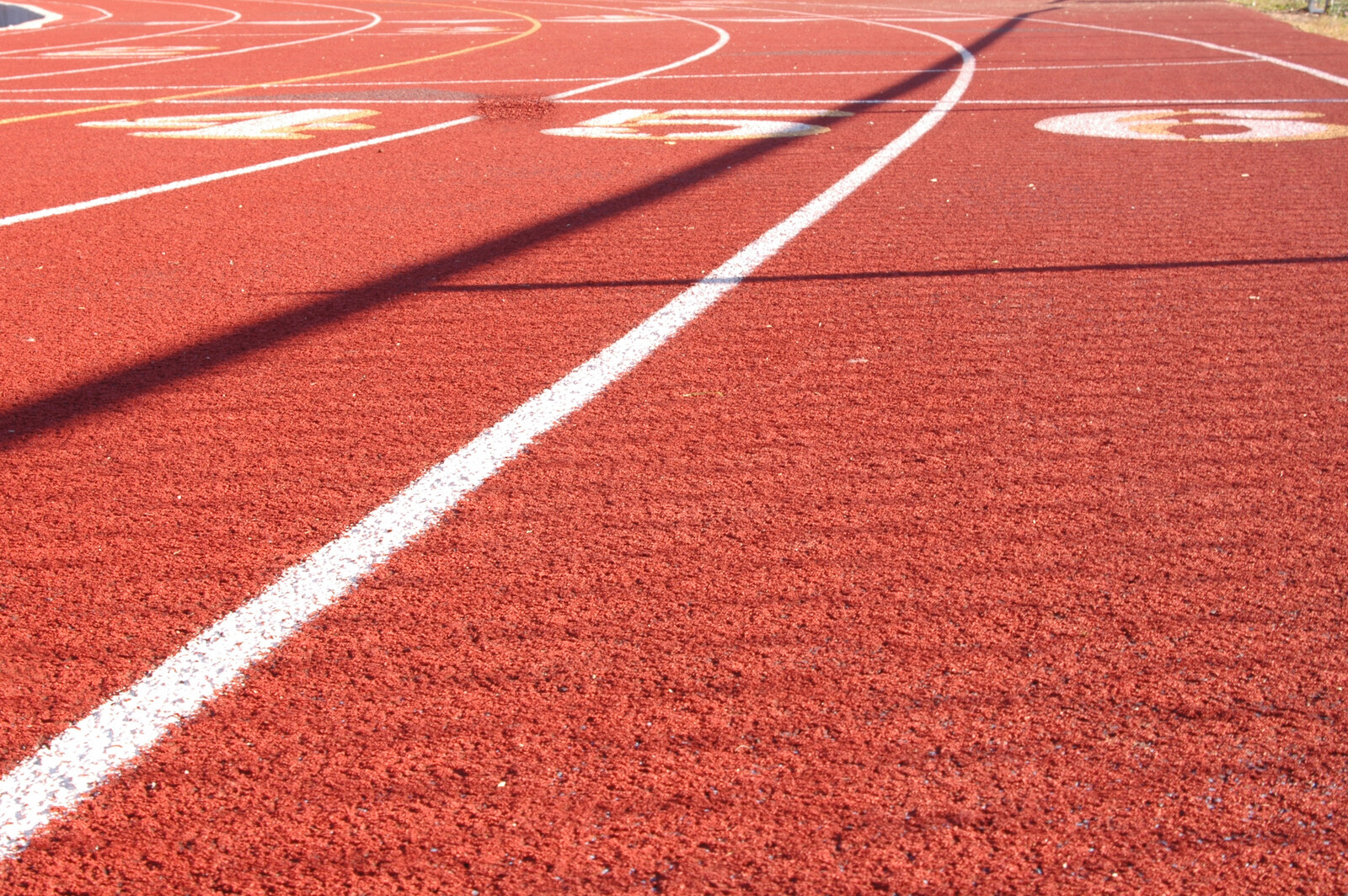 Wie High Performance Unternehmen ihre Employee Experience in Unternehmenserfolg transformieren